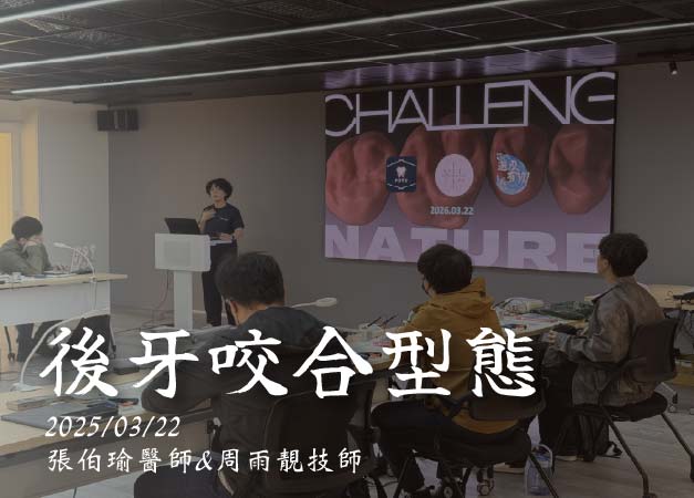 後牙咬合型態