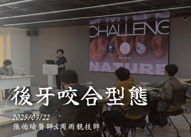 後牙咬合型態